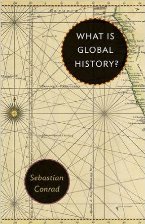 What is global history?