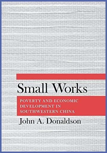 Small works : poverty and economic development in Southwestern China