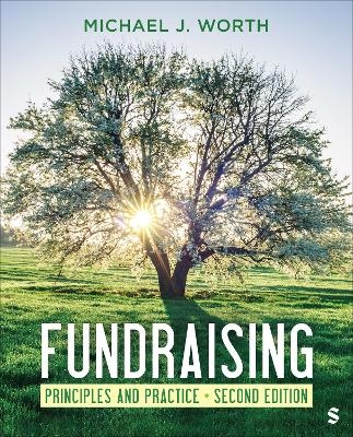 Fundraising: principles and practice